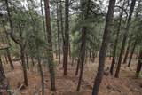 1225 Cougar Street - Photo 24
