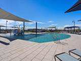 3557 Audrey Drive - Photo 17
