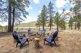 17622 Crowley Trail - Photo 12