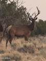 Lot 1041 Woodland Valley Ranch - Photo 8