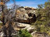 0000 Monica Mine Road - Photo 12