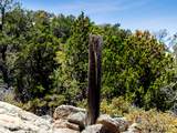 0000 Monica Mine Road - Photo 19