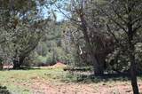 5556 Refuge Rock Road - Photo 11