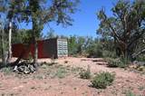 5556 Refuge Rock Road - Photo 9