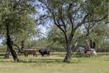 3155 Elephant Head Road - Photo 42