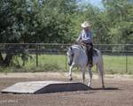3155 Elephant Head Road - Photo 45