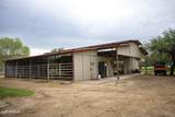 3155 Elephant Head Road - Photo 47
