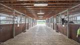 3155 Elephant Head Road - Photo 5