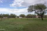 3155 Elephant Head Road - Photo 51