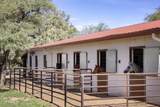 3155 Elephant Head Road - Photo 52