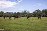 3155 Elephant Head Road - Photo 59