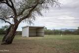 3155 Elephant Head Road - Photo 61
