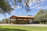 3155 Elephant Head Road - Photo 67