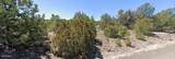 - Snowline Drive - Photo 2