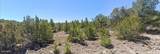 - Snowline Drive - Photo 3