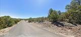 - Snowline Drive - Photo 5