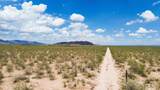 320acres Stone Ridge Road - Photo 10