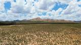 320acres Stone Ridge Road - Photo 4