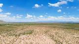 320acres Stone Ridge Road - Photo 5