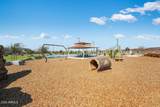 4030 Brittlebush Lane - Photo 49