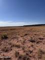 455 Sierra Highlands - Photo 3