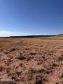 455 Sierra Highlands - Photo 4