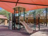 37155 Vera Cruz Drive - Photo 31