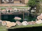 2399 Quarter Horse Trail - Photo 13