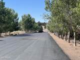 2399 Quarter Horse Trail - Photo 15