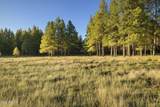 277 Foxboro Ranch Road - Photo 8
