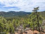 0 Bald Mountain Road - Photo 1