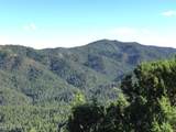 0 Bald Mountain Road - Photo 2