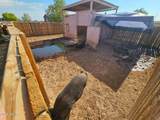 33066 Brinlee Lane - Photo 50