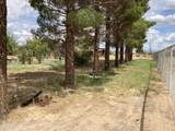 28 Cochise Way - Photo 42
