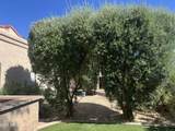 10429 San Tan Boulevard - Photo 13