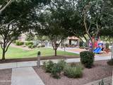 6837 Posada Circle - Photo 23