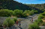 42035 113th Way - Photo 115