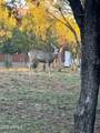 2761 Apollo Circle - Photo 47