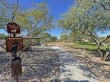 9916 Redbird Road - Photo 60