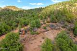 3995 Forest Svc Rd 249 - Photo 148