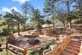 9386 Coyote Drive - Photo 41