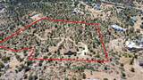 12650 Sundancer Trail - Photo 42
