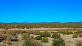 0 Johnny Ridge Rd 37 Acres - Photo 20