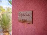 34848 Desert Ridge Drive - Photo 6