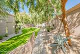 11680 Sahuaro Drive - Photo 48