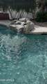 1247 Sunset Drive - Photo 4