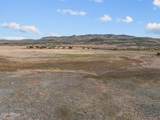 88.1 ACRES Sickles Ranch Ranch - Photo 19