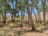 2955 Sexton Ranch Road - Photo 63