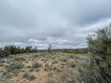 4750 Crazy Horse Circle - Photo 25