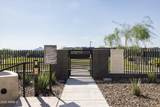 2121 Sonoran Desert Drive - Photo 35